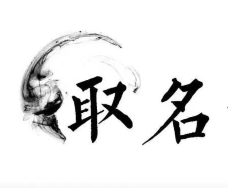  百色市宝宝取名 大师一对一人工起名